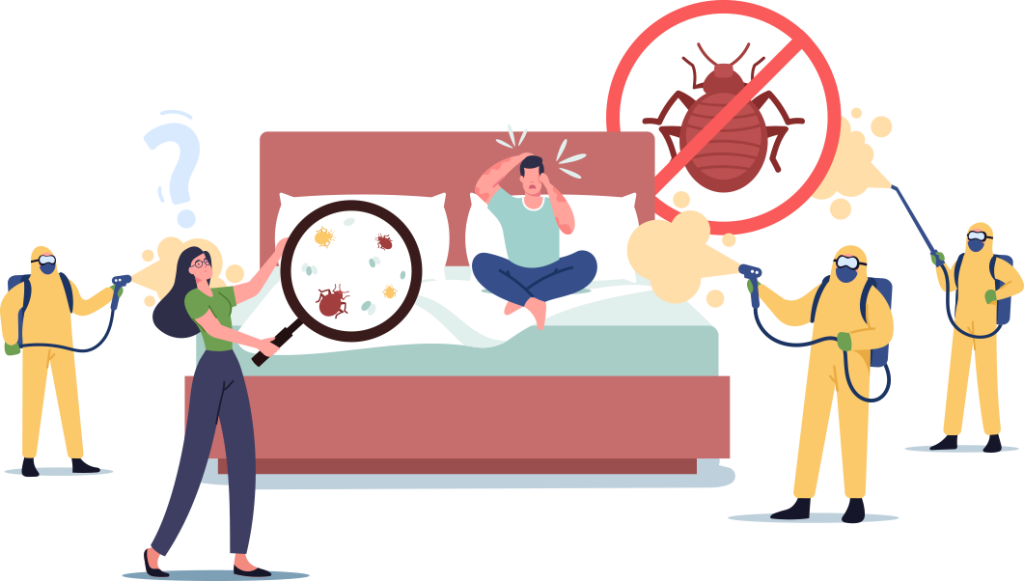 Bed Bug Heat Treatment Is the Best Solution